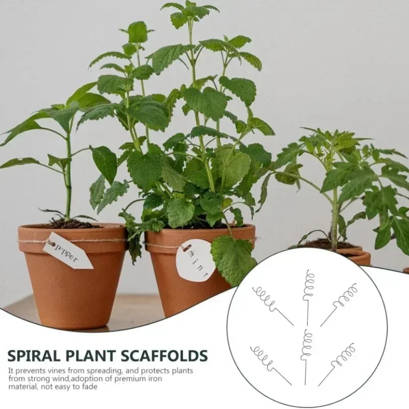 Bonsai Garden Plants - 등반식물 지지대 스탠드, 덩굴식물 랙, 토마토