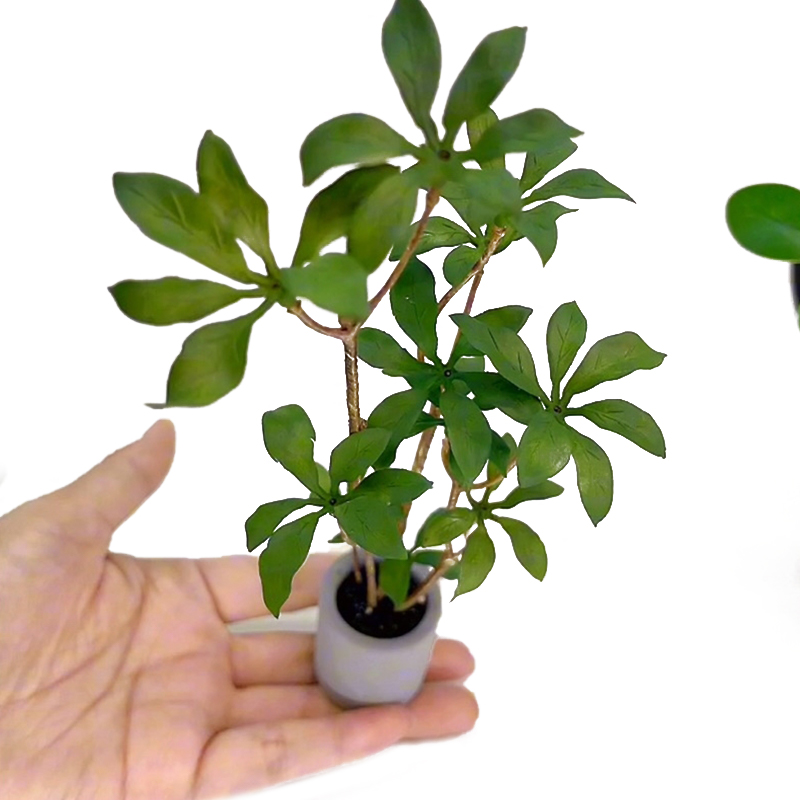 1:6 인형의 집 미니어처 화분 모델, 녹색 잎 식물  - Bonsai Garden Ornaments 리뷰 및 가격