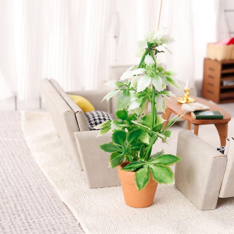 1/12 인형집 시뮬레이션 녹색 식물 분재 모델 인형집 - Bonsai Garden Ornaments 리뷰 및 가격