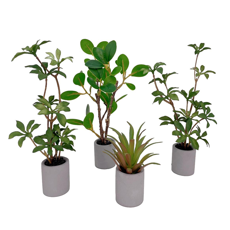 1:6 인형의 집 미니어처 화분, 녹색 잎 식물, 분재 - Bonsai Garden Ornaments 리뷰 및 가격