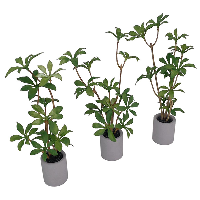 1:6 인형의 집 미니어처 화분, 녹색 잎 식물, 분재 - Bonsai Garden Ornaments 리뷰 및 가격