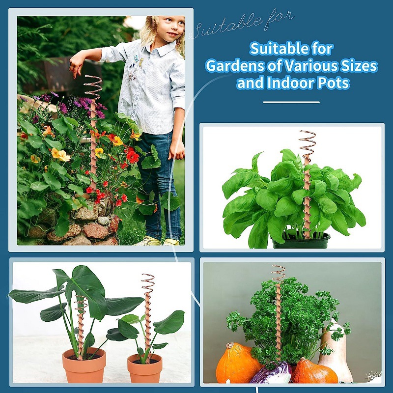 분재용 구리 전기배양 식물 지지대 와이어 코일 나무 막 - Bonsai Garden Accessories 리뷰 및 가격
